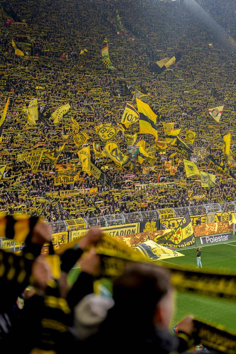 包含集结日全明星赛传出新动向；巴黎圣日耳曼战术微调；管理层表态——压力陡增；高层口径保持一致的词条-实时比分